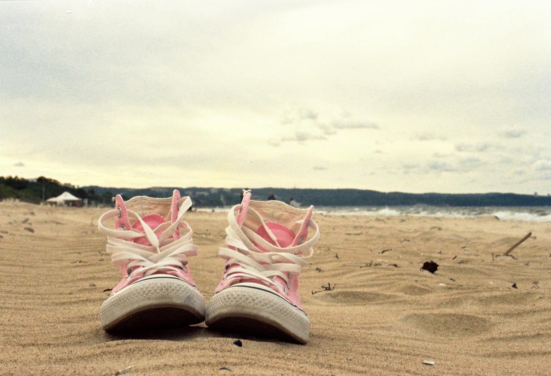 ENERGA TREFL Sopot vs AMW ARKA Gdynia – relacja na żywo